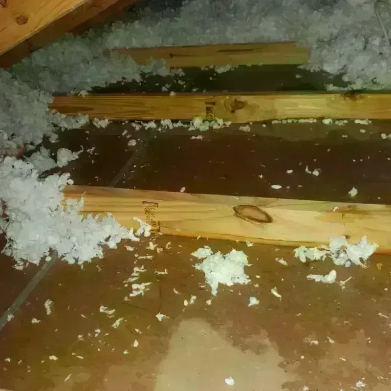 Attic Water Damage in Clifton, NY